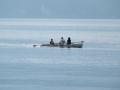 DSCF6178