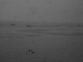 VLUU L100, M100  / Samsung L100, M100