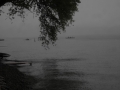 VLUU L100, M100  / Samsung L100, M100