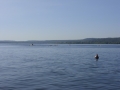 sdc10755