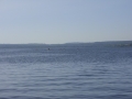 sdc10767