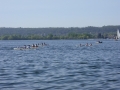 sdc10803