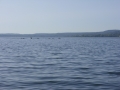 sdc10804