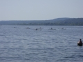 sdc10813