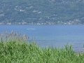 sdc10942