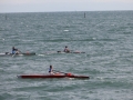 m_IMG_(509)